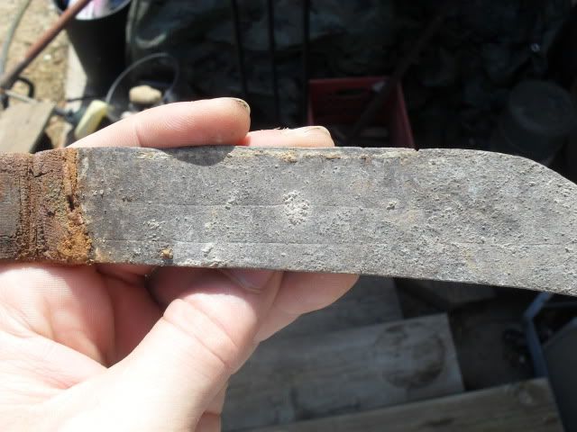 SDC10750.jpg