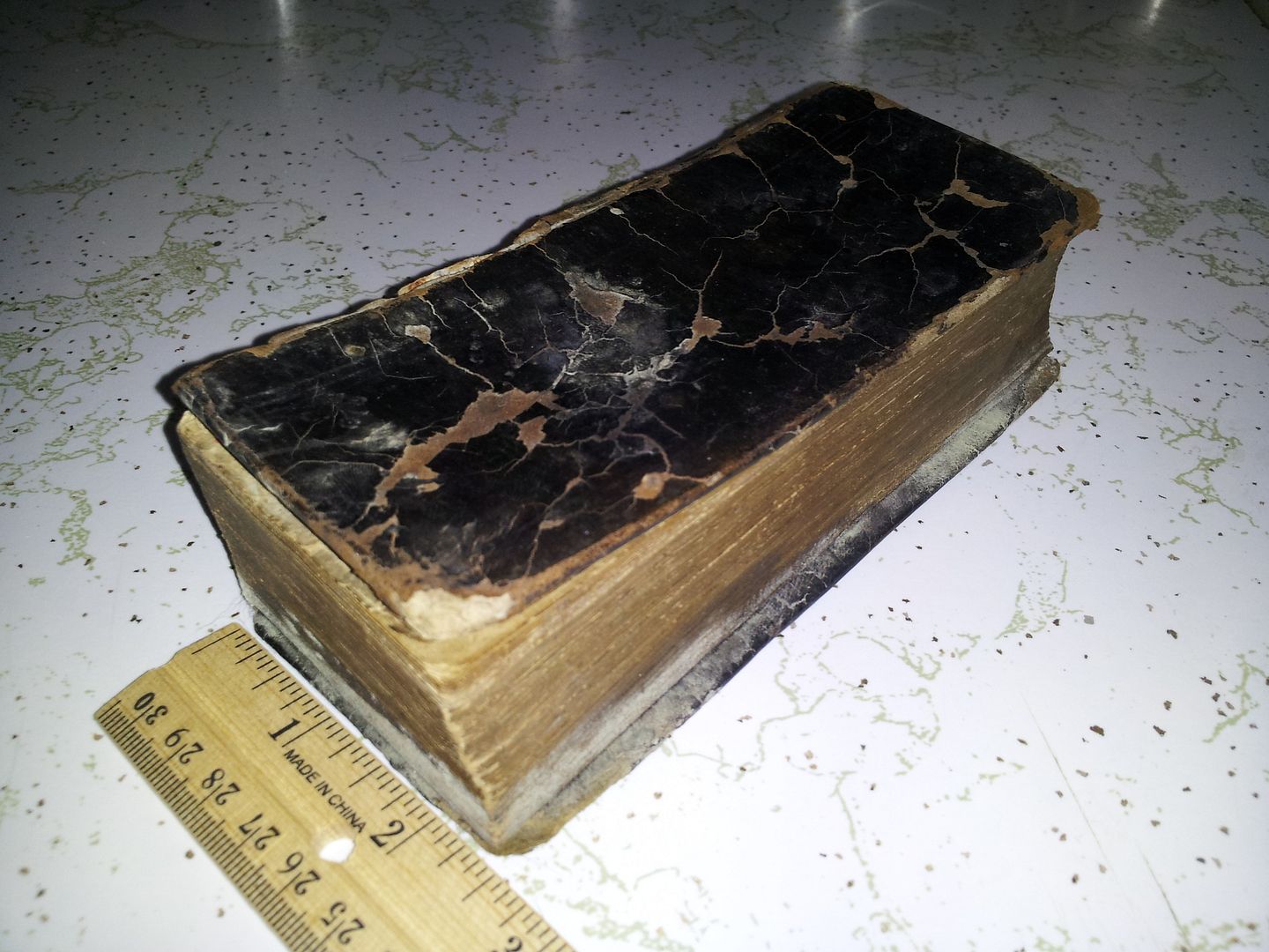 20130206_120959.jpg