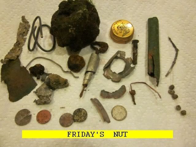 1125NUT.jpg