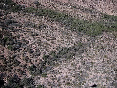 DetectorSite2.jpg