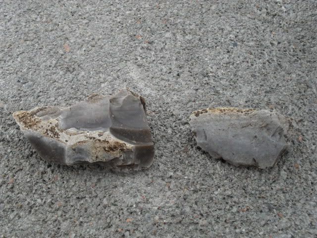 SDC10096.jpg