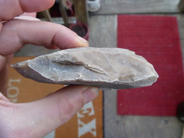 P1010500.jpg