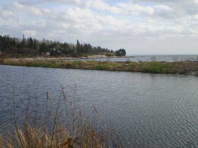 PB170010.jpg