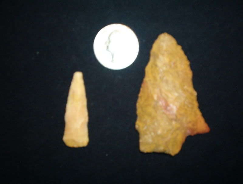 march0407047.jpg