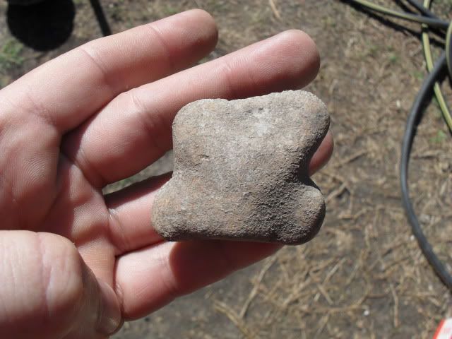 SDC10910.jpg