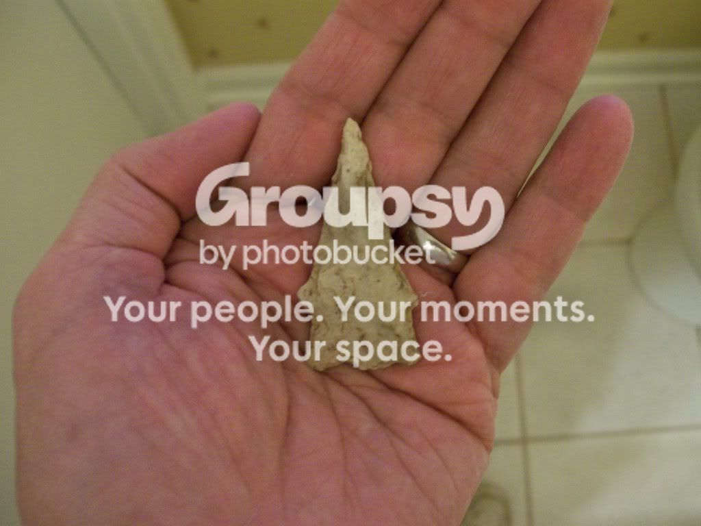 100_4595.jpg