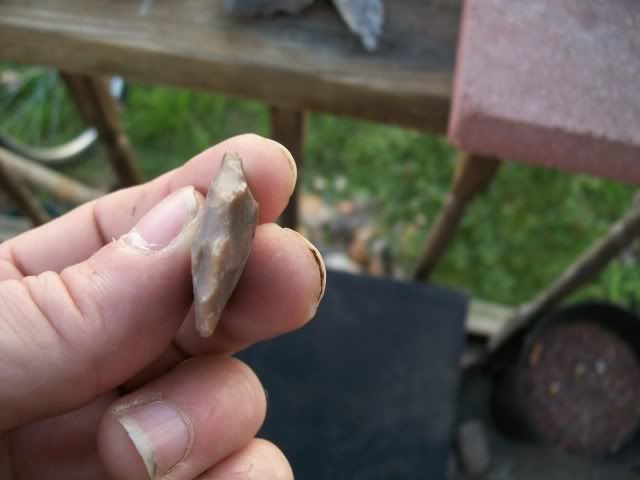 100_0675.jpg