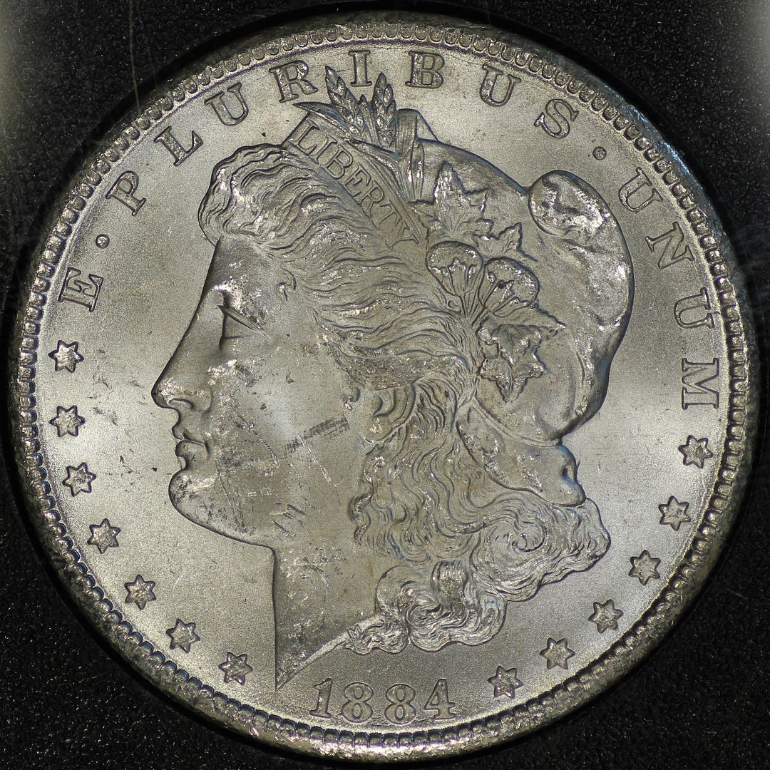 84ccgsavam4bobv.jpg