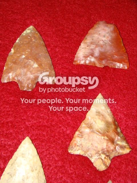 DSC09038.jpg