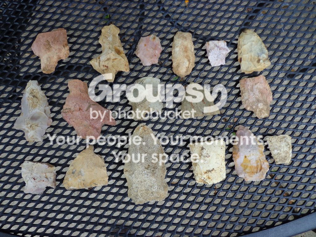 DSC00064.jpg