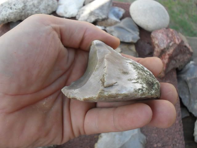 SDC10520.jpg