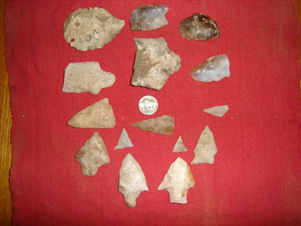 DSC01142.jpg