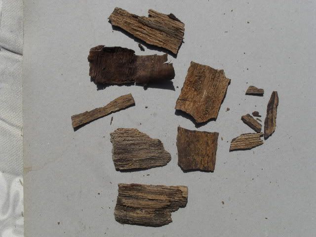 SDC10751.jpg