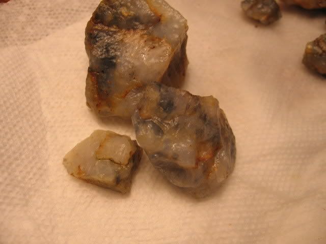 IMG_1034.jpg