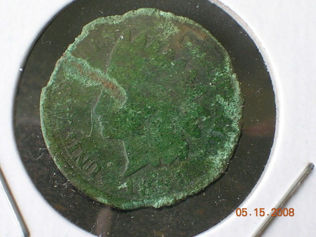 DSCN7430.jpg