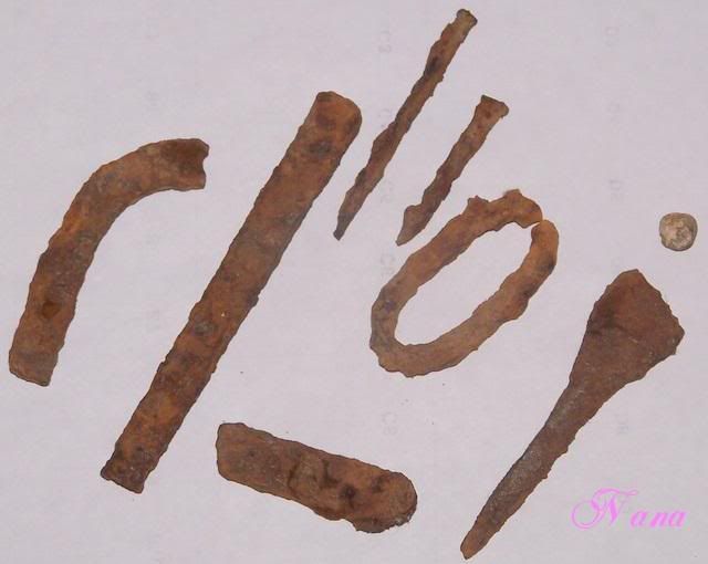 100_9142.jpg