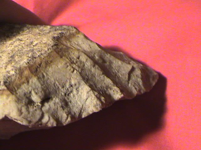 edge077.jpg