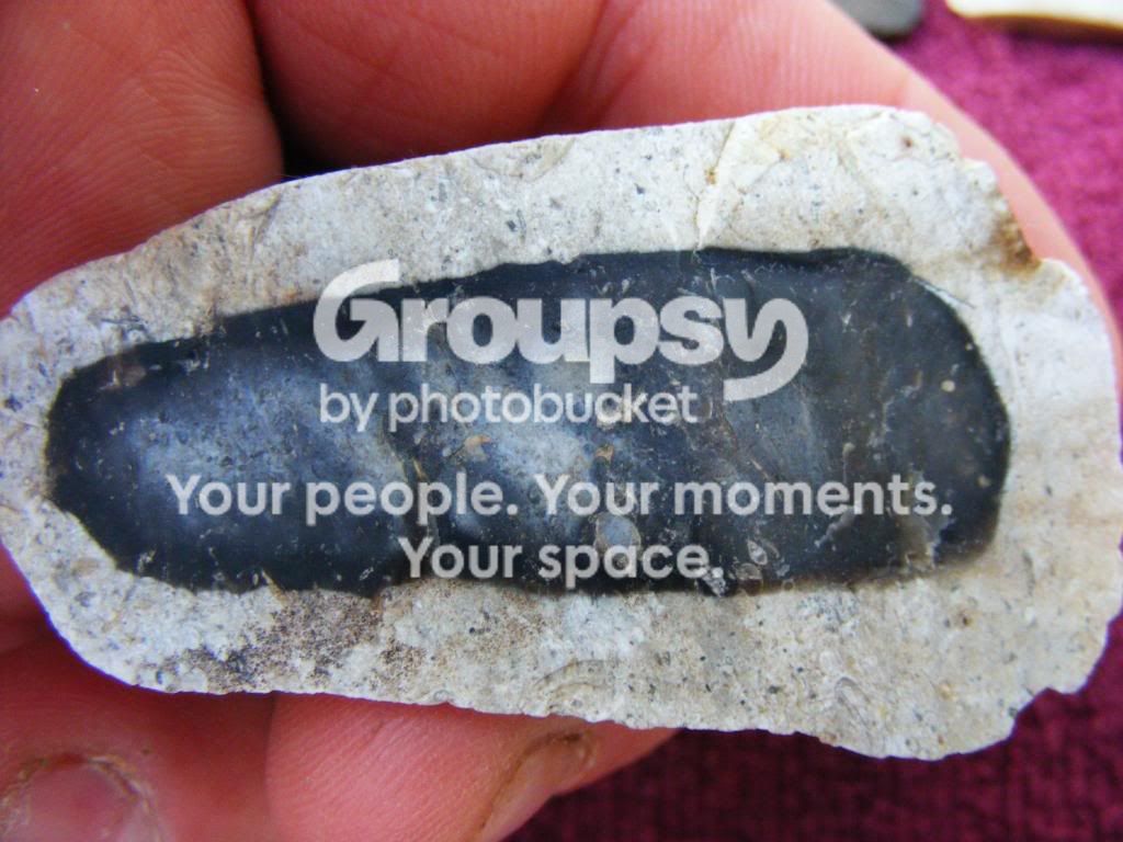 2009_0805button0004.jpg