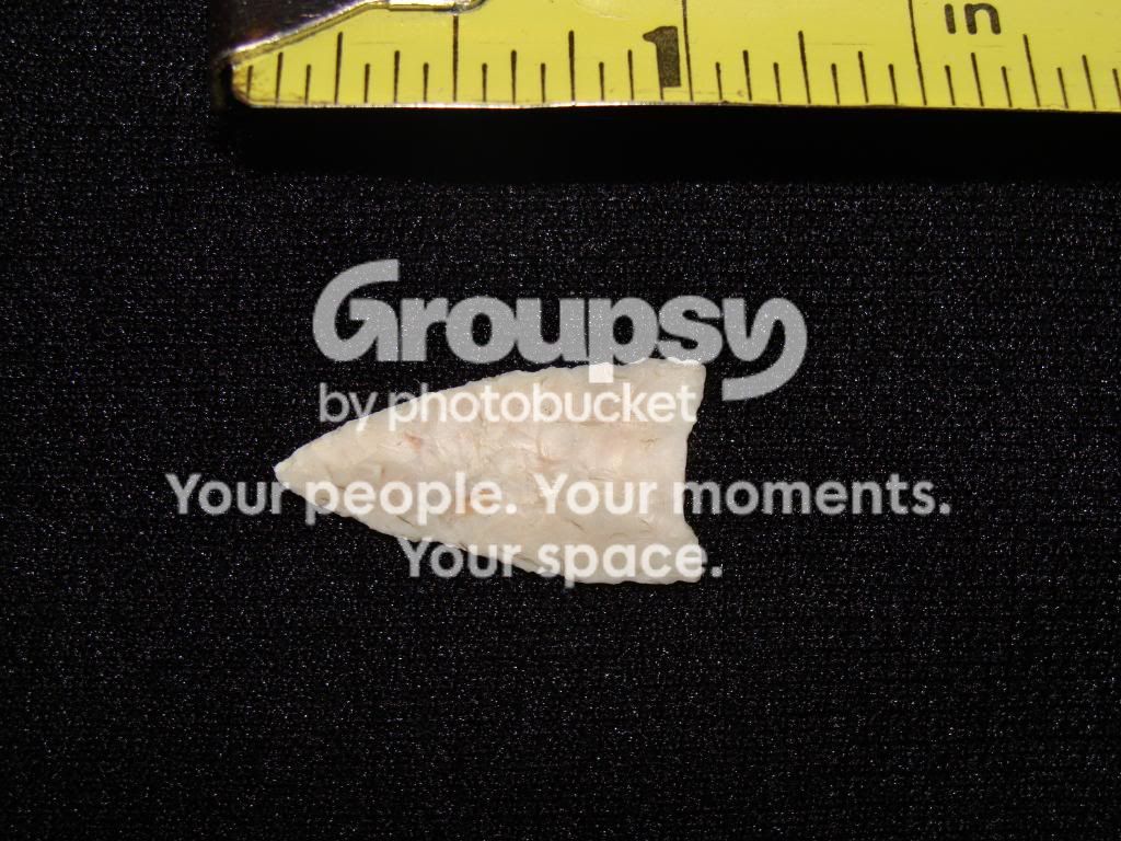 DSC00212.jpg