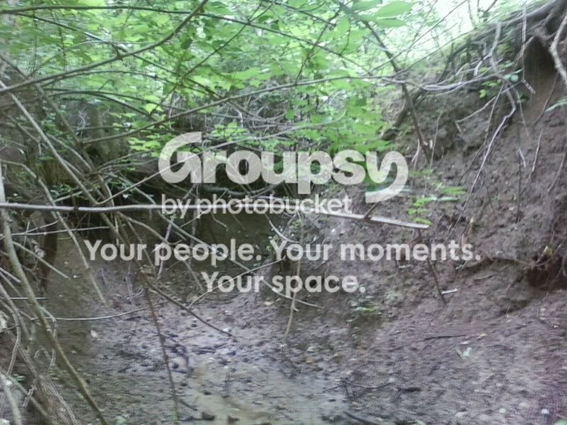 img1250734280896.jpg