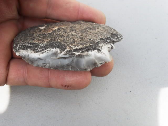 SDC11368.jpg