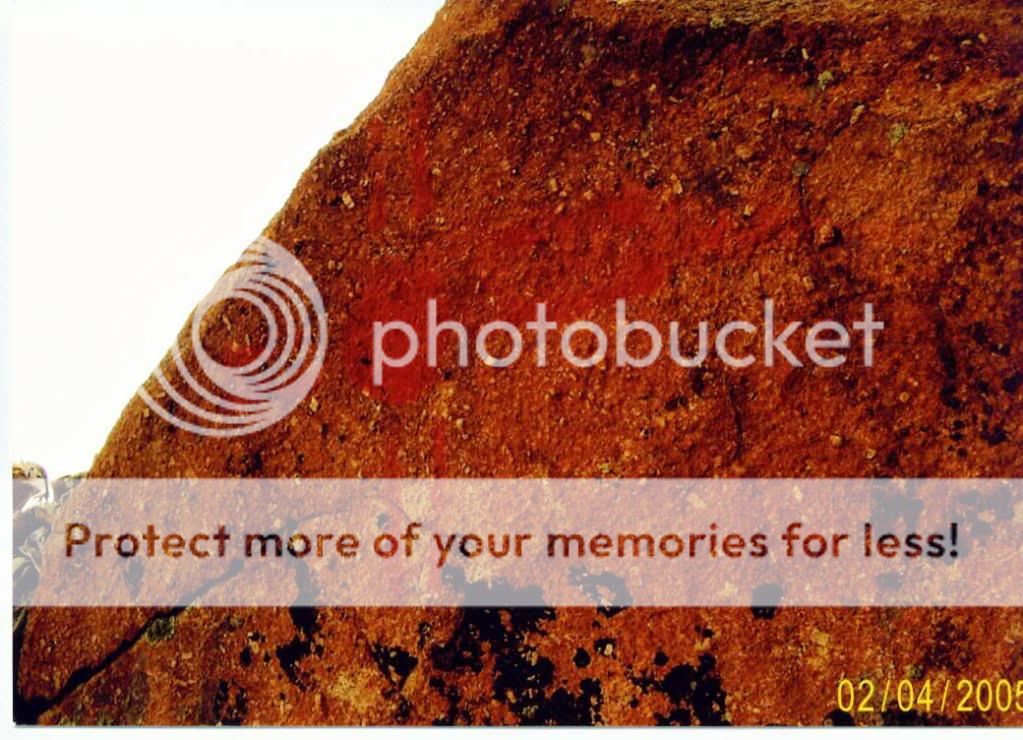 ScannedPictures002.jpg