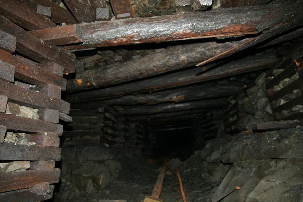 147-1.jpg