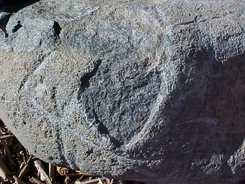 heartcarving1.jpg