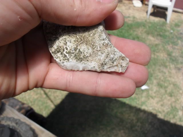 SDC10636.jpg