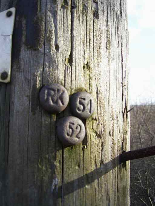 8Feb09WBTpole.jpg