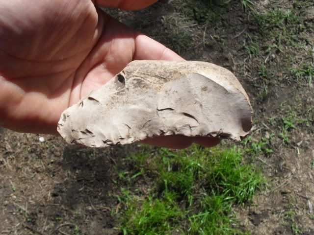 SDC10887.jpg