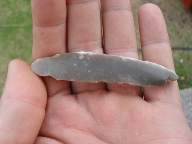 SDC10119.jpg