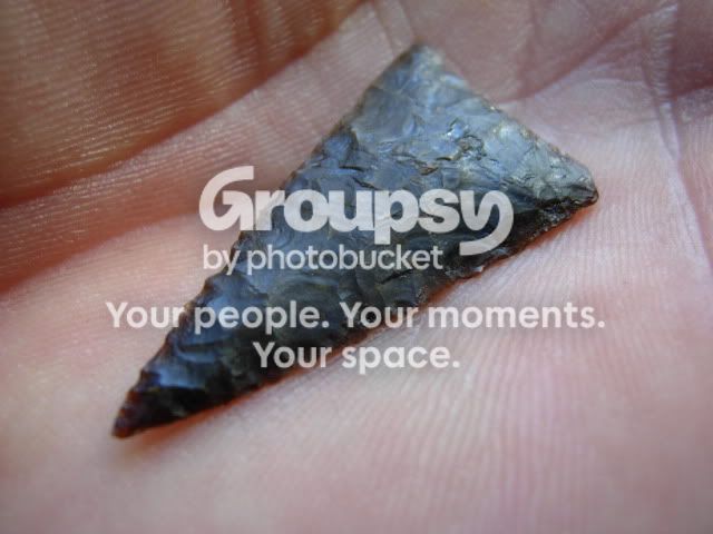 DSCN1378.jpg