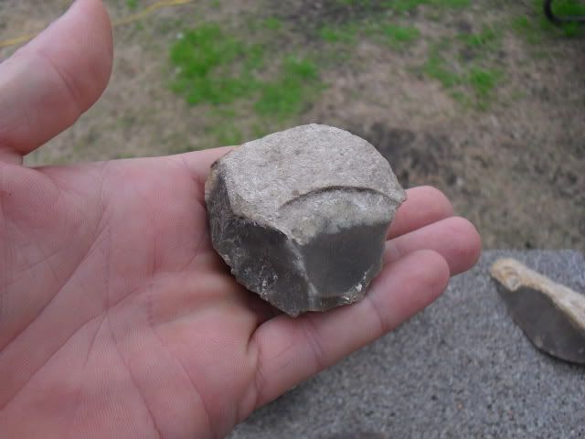 SDC10387.jpg