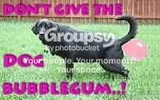 bubblegum_dog.jpg