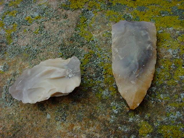 DSC00763.jpg