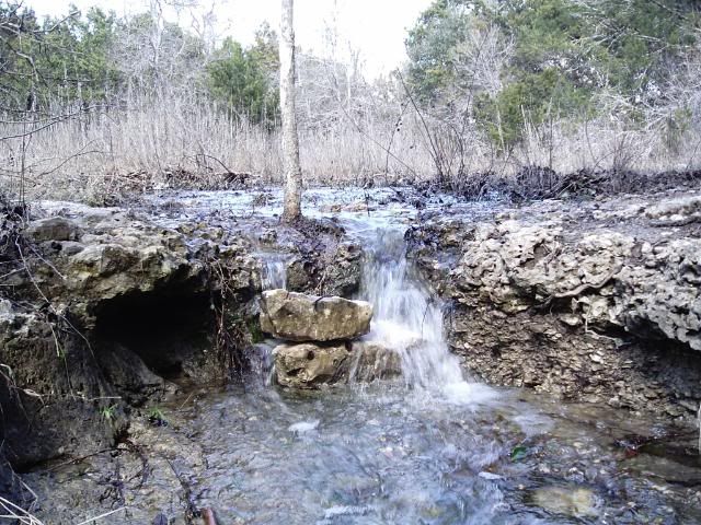 IMAG0014.jpg