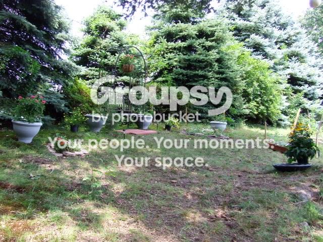 DSCF3279.jpg