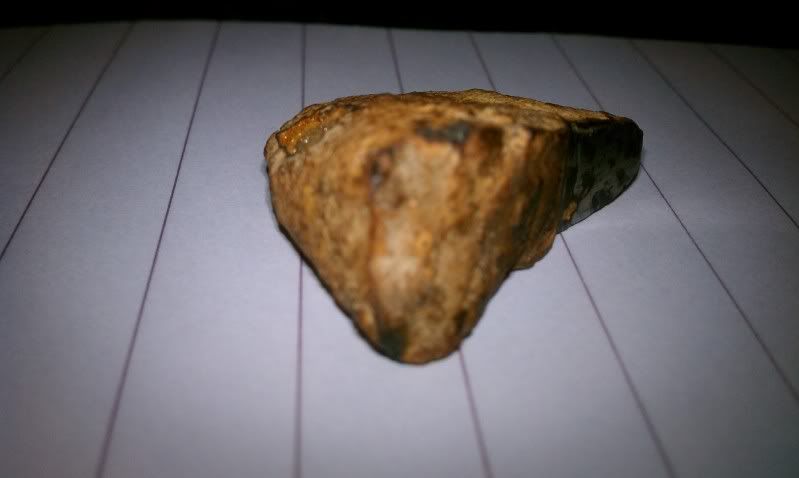IMAG0187.jpg
