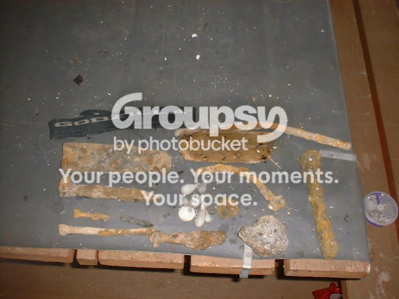 13112beachfinds.jpg
