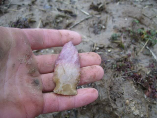100_1377.jpg