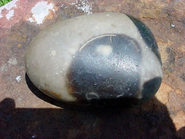 DSC00624.jpg