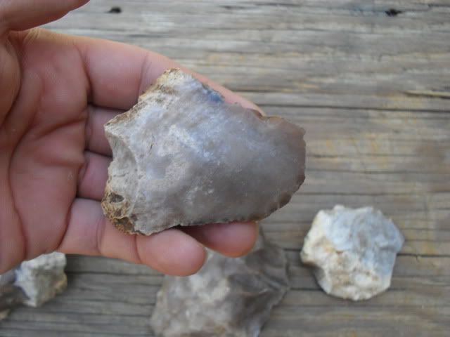 SDC10080.jpg