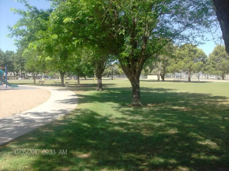 treasurehunt006.jpg
