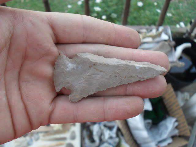 SDC10834.jpg