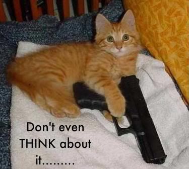 glock_kitty-1.jpg