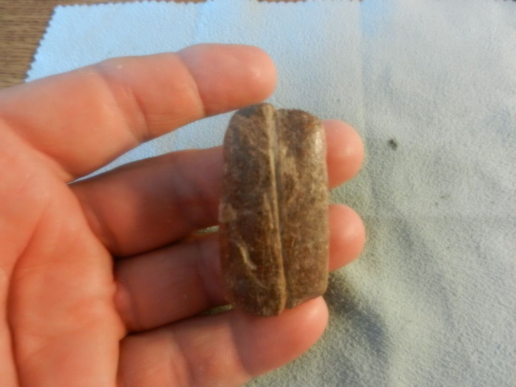 DSCN0597.jpg