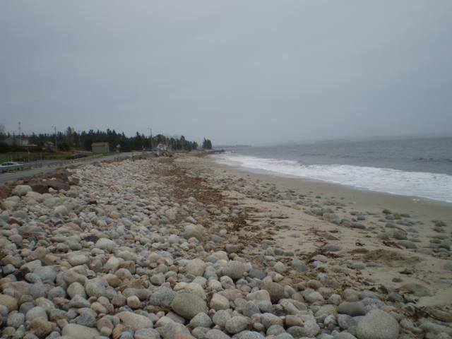 PB110008.jpg