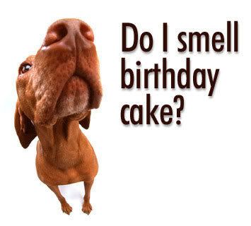 birthdaycommentsmyspacehappyfunny3.jpg