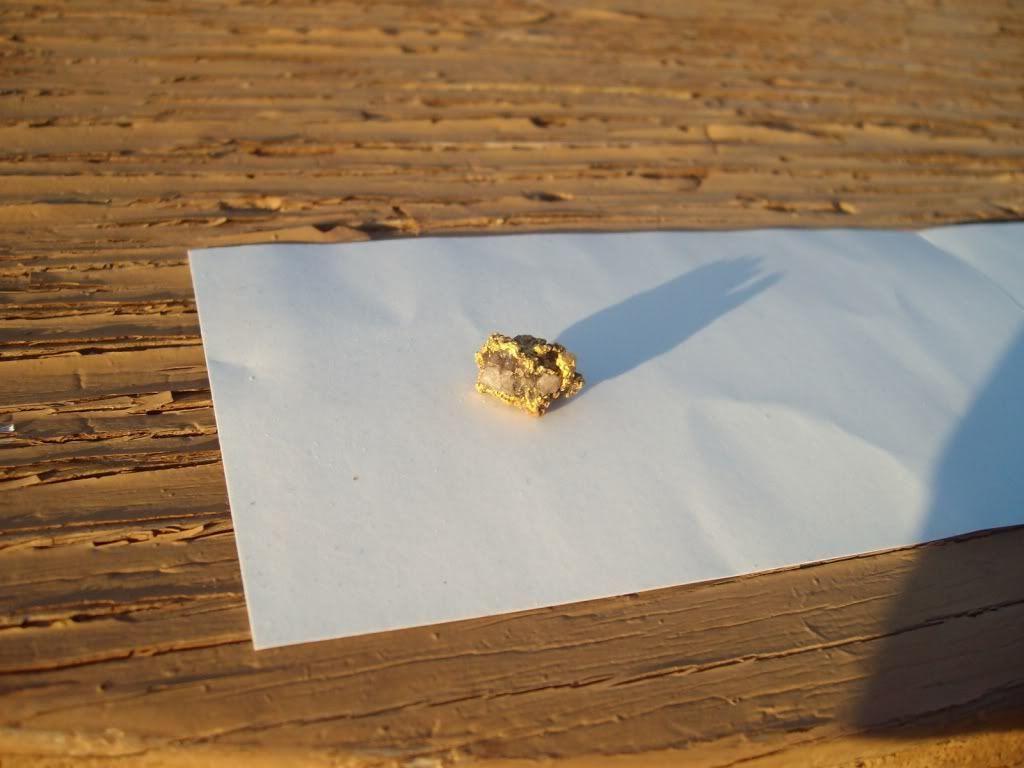 GOLDBASINSPECIE019.jpg